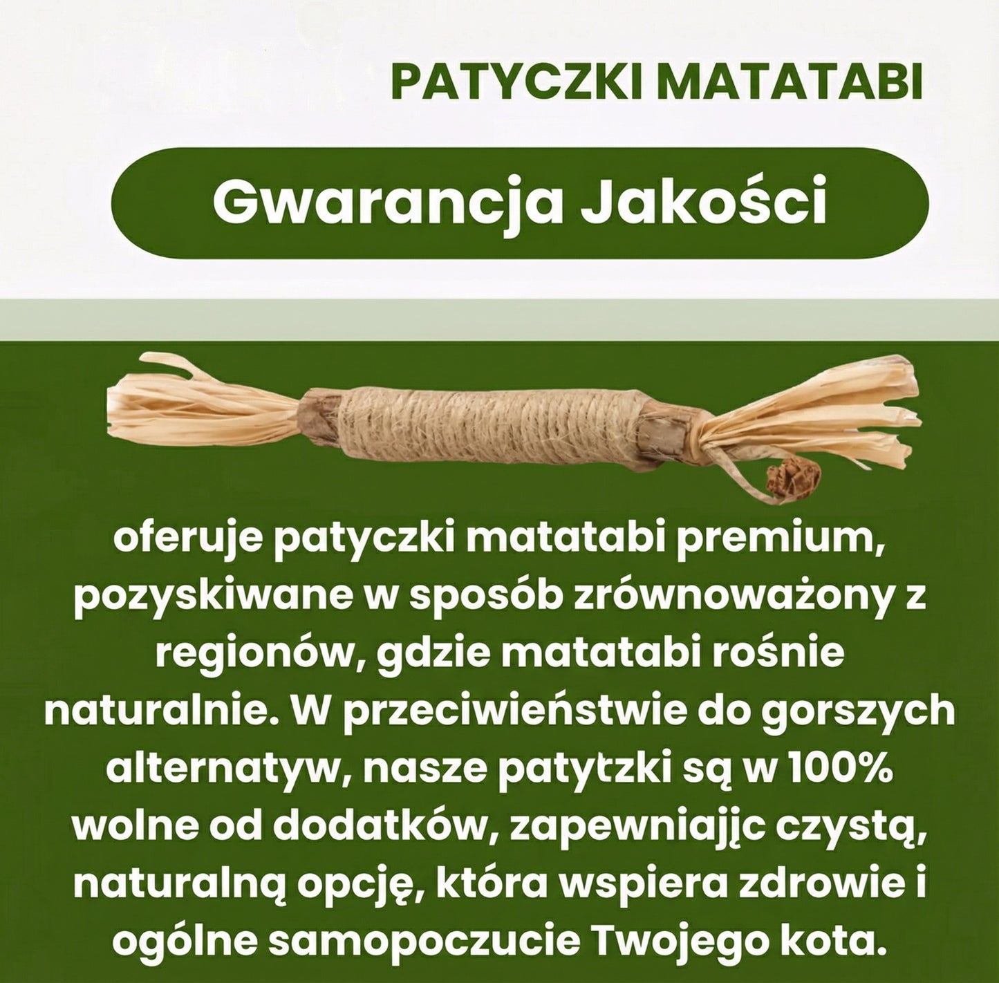 ŁAPCIO | Matatabi patyczki dentystyczne