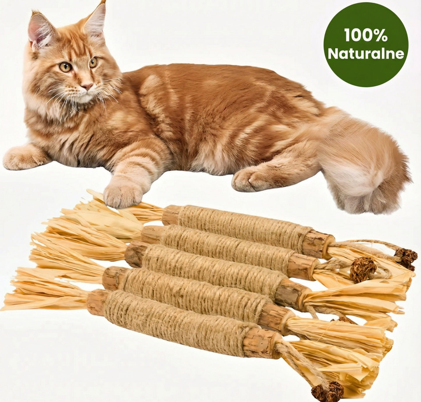 ŁAPCIO | Matatabi patyczki dentystyczne