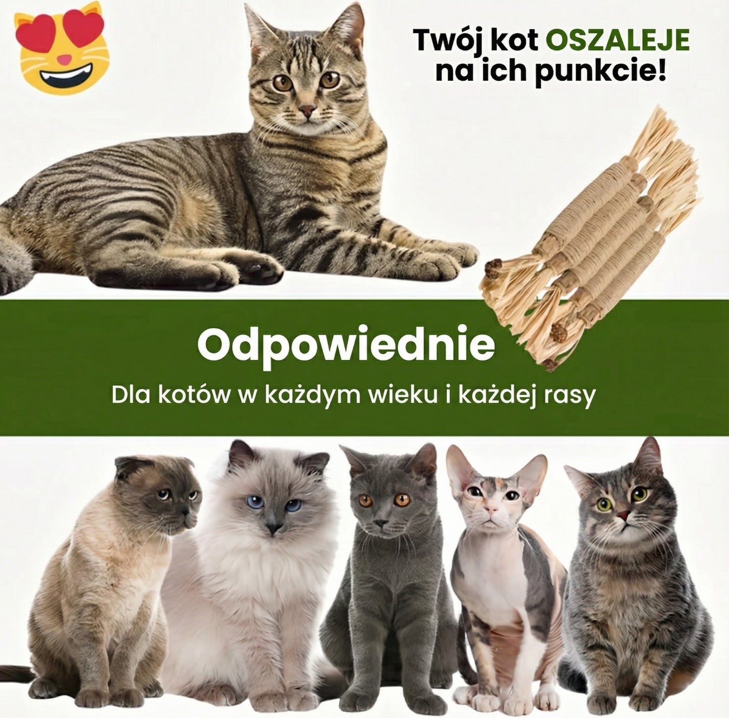 ŁAPCIO | Matatabi patyczki dentystyczne