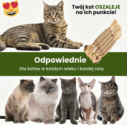 ŁAPCIO | Matatabi patyczki dentystyczne