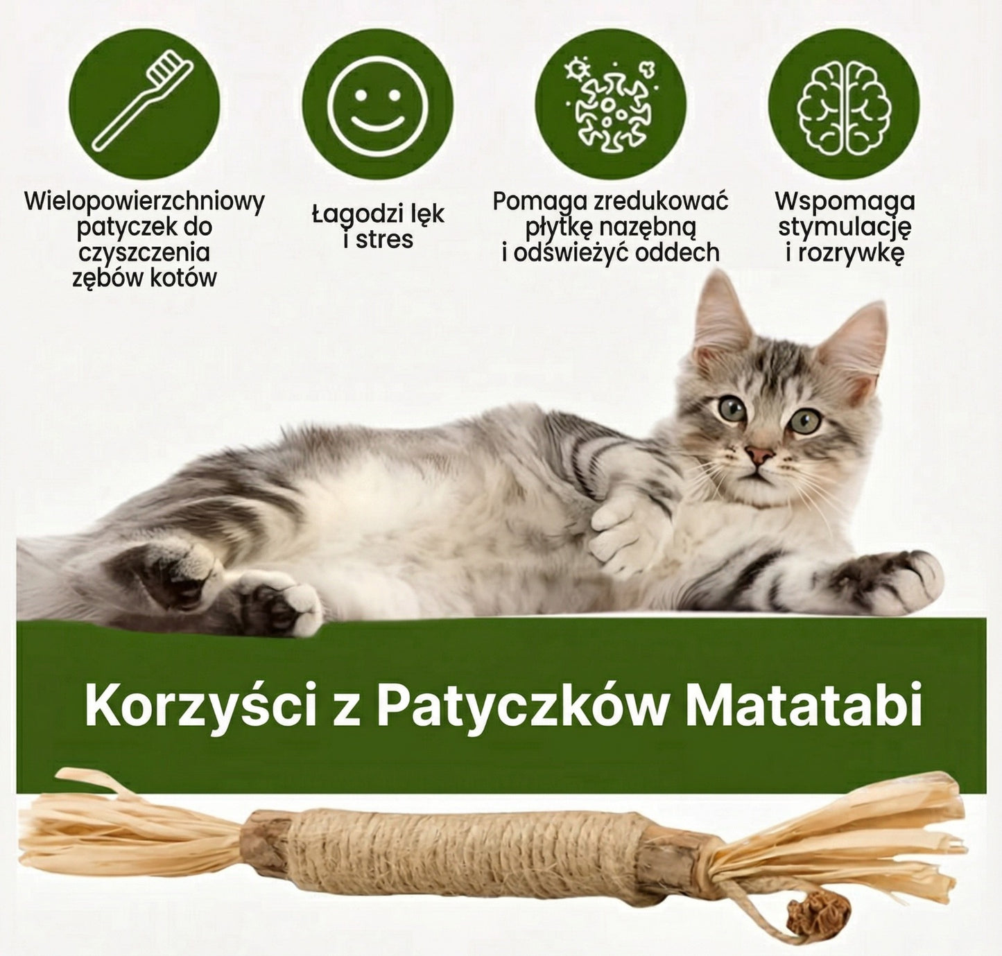 ŁAPCIO | Matatabi patyczki dentystyczne