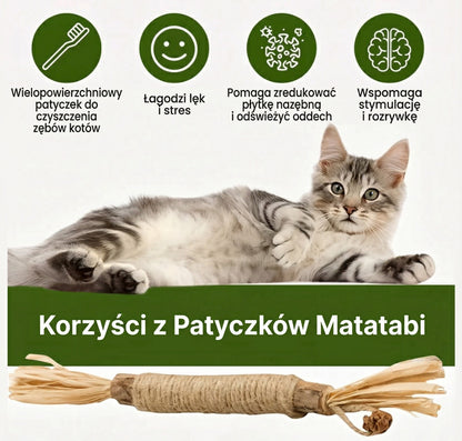 ŁAPCIO | Matatabi patyczki dentystyczne