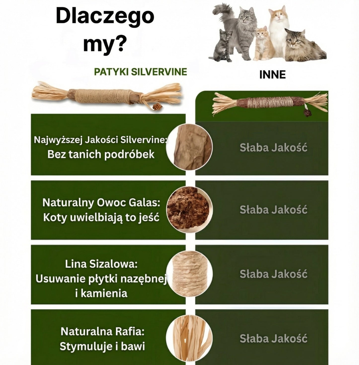ŁAPCIO | Matatabi patyczki dentystyczne